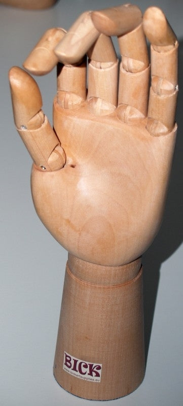 Modell Hand 25 cm